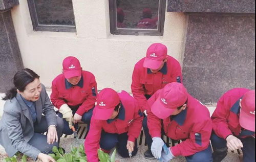 金泰物业环境系统组织绿植养护花卉种植专业知识培训活动(图2) 金泰物业环境系统组织绿植养护花卉种植专业知识培训活动(图2)