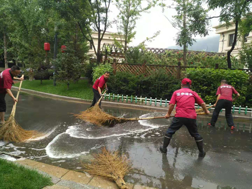 超强台风来袭,金泰物业守候业主家园!(图1) 超强台风来袭,金泰物业守候业主家园!(图1)