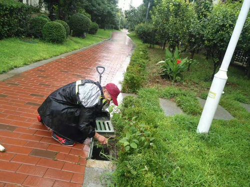 超强台风来袭,金泰物业守候业主家园!(图3) 超强台风来袭,金泰物业守候业主家园!(图3)
