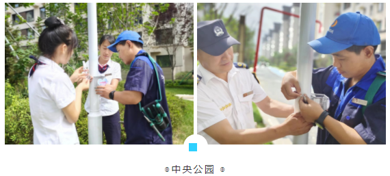 共享花露水,共享好时光(图4) 共享花露水,共享好时光(图4)