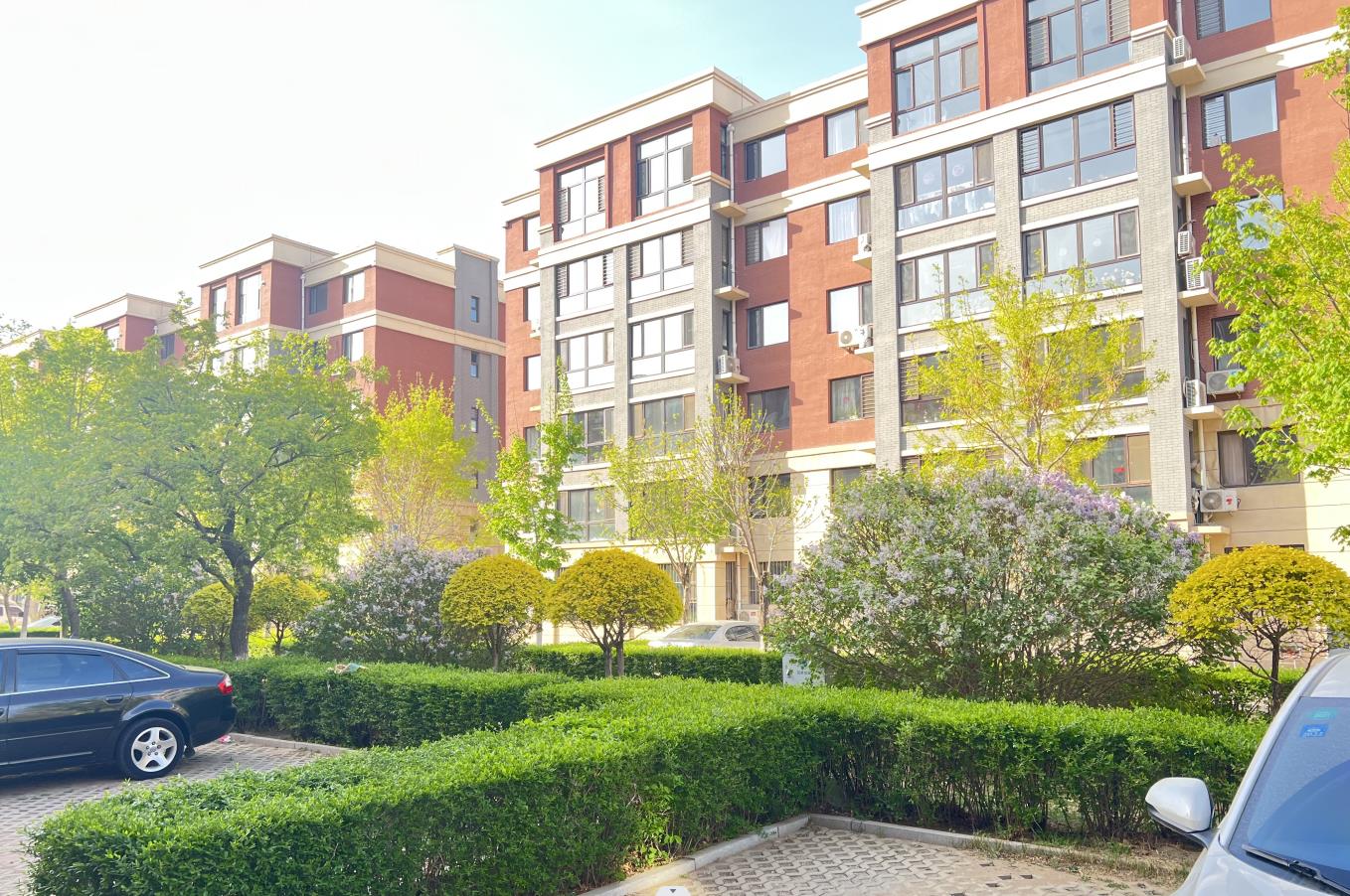 见树如见人,精细显品质(图4) 见树如见人,精细显品质(图4)