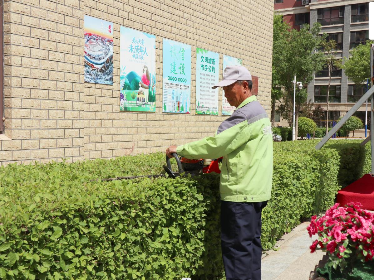 见树如见人,精细显品质(图7) 见树如见人,精细显品质(图7)