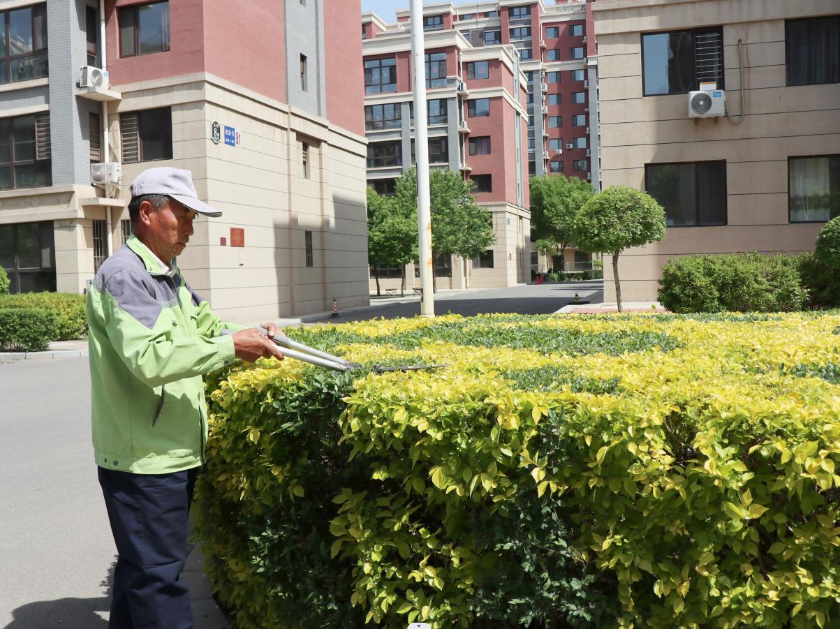 见树如见人,精细显品质(图8) 见树如见人,精细显品质(图8)