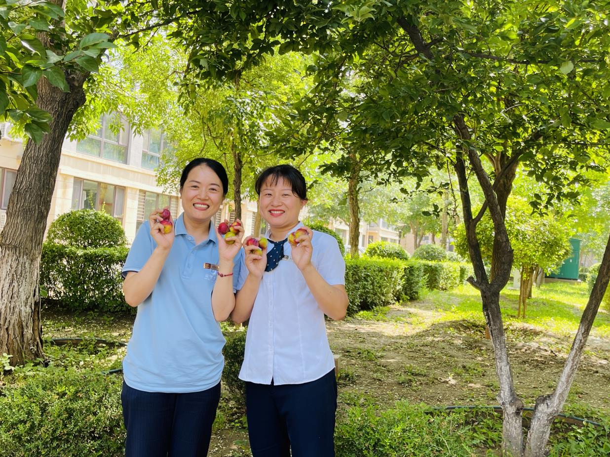 金泰快乐一夏 ，共享果实，共享夏日甜蜜！(图2)